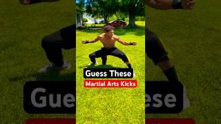 Guess These MARTIAL ARTS Kicks! #martialarts #shorts