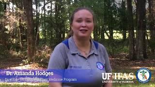 UF Doctor of Plant Medicine - Meet the Director