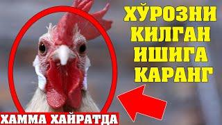 ТЕЗДА КУРИНГ УШБУ ВИДЕОНИ ХЕЧ КИМ ТУШУНТИРИБ БЕРОЛМАДИ