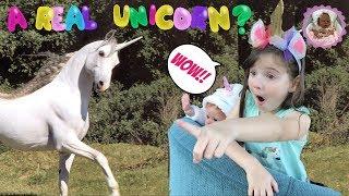 IS THAT A REAL UNICORN?? Theme Thursday - UNICORNS!!