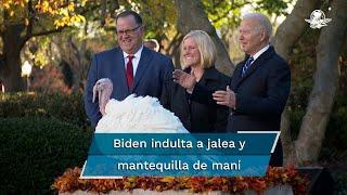 Tras someterse a una cirugía, Biden indulta a dos pavos días antes de Acción de Gracias