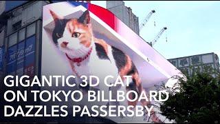 Gigantic 3D cat on Tokyo billboard dazzles passersby