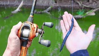 Catch 15x MORE Bass - TRY THIS! (Bass Fishing Tips)