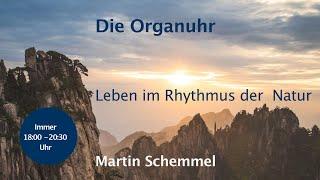 Die Organuhr - Leben im Rhythmus der Natur