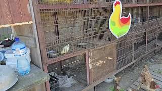 ДЕПРЕССИЯ ПОСЛЕ АТАКИ,ЖИВЁМ ВПРИГОРОДЕ КИЕВА