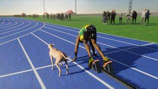 Usain Bolt VS Fastest Dog