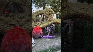 Переезд - это неизвестность или новые возможности #коучинг #коучцифровыхкочевников #коуч
