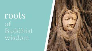 samsara and nirvana, the three characteristics of phenomena: Buddhist basics