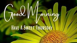 Good morning thursday images  !! Best good morning flowers images