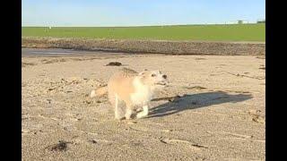 Köstlicher Roadtrip mit Pixel an einen Ort namens Westen, bei dem Süden im Osten liegt.