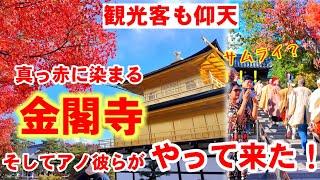 11/28(木)観光客も仰天！真っ赤に染まる金閣寺、そして彼らがやって来た【金閣寺の紅葉散策と金閣寺不動堂山伏の大護摩供】