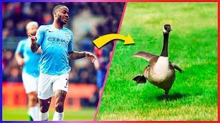 Why Does Raheem Sterling Run Like A Goose?