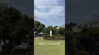 #천주교 #수도원 #가톨릭 #제주교구 #성당순례7 #애월아기예수의성녀데레사성당 #catholic #catholicfaith #catholicchurch