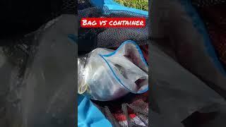 Which is better? RV hose storage bags or containers? #shorts, #RVlife, #RVlifestyle, #RVhacks