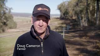 Doug Cameron’s Gallagher Westonfence Success Preview