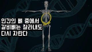 성경 아담과 하와 기록의 과학적원리 Part.1
