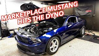 The Nightmare Continues! Marketplace Mustang