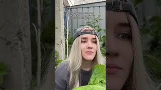 Ох повезло повезло 