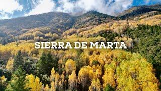 Otoño en el norte de México : Un sendero entre Hojas Doradas en la Sierra de Marta 