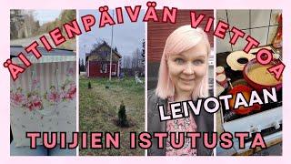 Äitienpäivä / Leivotaan tuulomantorttua / Istutetaan tuijia / 2 päivän arkivlogi