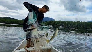 ROBALO DEU BOBEIRA ELES VÃO EMBORA DA TARRAFA! pescaria de robalo com tarrafa !