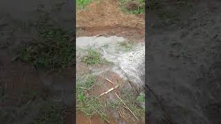 installation of irrigation system#boostproduction #precisionirrigation