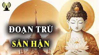 Đoạn trừ sân hận được phước báu tâm trí vô ngại, không có kẻ thù, các căn trang nghiêm