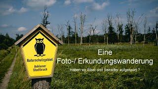 Abenteuer Naturfotografie / Eine Foto-/ Erkundungswanderung im Anklamer Stadtbruch