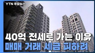 그들이 사는 세상...전세 40억 넘어도 몰리는 이유는? / YTN