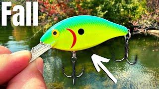 DON'T Fish Without These LURES In The FALL