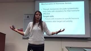 Endocrine System- Dr. Jessica Guerrero