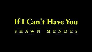 If I Can't Have You - Shawn Mendes (Lyric Video)