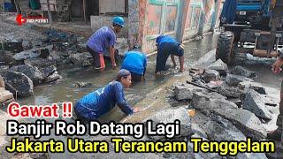 Gawat‼️Banjir Rob Datang Lagi Muara Angke Jakarta Terancam Tenggelam