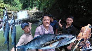 Một Ngày Đi Rừng Đánh Bắt Cá Suối | Không Ngờ Bắt Được Toàn Cá Lạ - Thầy Giáo Vùng Cao