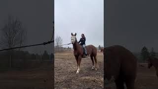My pants were disgusting after this… || #rear #trick #treattraining #liberty