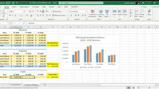 Excel Spreadsheets Project 1A