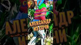 Песня пародия супермегахит #animals #юмор #прикол #пародия #ржака #смешнойшортс #угар .
