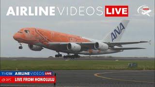 LIVE: Exciting HONOLULU (HNL) Airport Action!