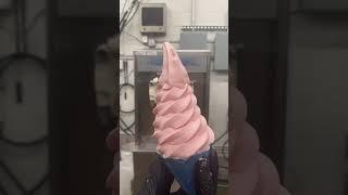 Mix Test Video: Taylor 791 Soft Serve Machine - M2104551 3 Phase Air-Cooled