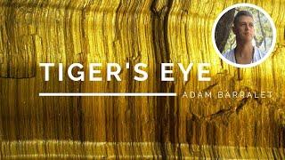 Tiger's Eye - The Crystal of Radiant Success