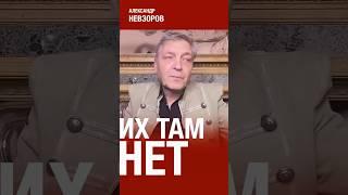 Не нужно искать рациональные мысли в голове путина #невзоров