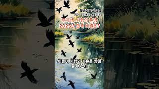 무자생, 시험의 운명2025년 합격 비결은?