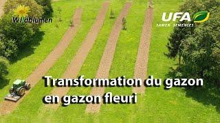 Transformation du gazon en gazon fleuri