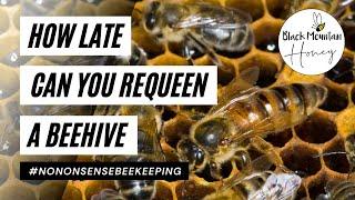 How Late Can You Requeen A Beehive - Requeening Late In The Season - How to Requeen A Beehive