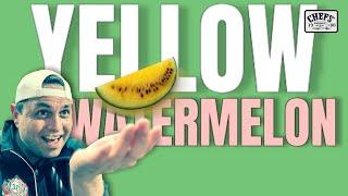 Discover the Sweet and Juicy World of Yellow Watermelon | Chefs Produce Co