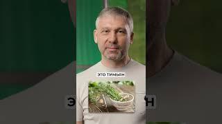 Эти виды зелени НЕ принесут прибыль! #бизнес #зелень #прибыль