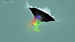 Burning Ship - All Orbits Visualised (-c version)
