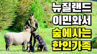 [뉴질랜드 시골가족] 누구나 한번은 꿈꿔본 삶을 사는 의지의 한국인 가족