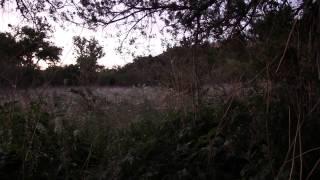 Bryan's Goulds Turkey Hunt with Jay Scott
