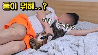 아빠가 너무 좋은 호동이의 놀라운 행동 : 험한 길생활도 바꾸지 못한 고양이의 타고난 성격